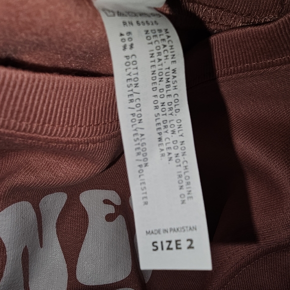 ๐๏ธ๐ 2 for $20 Honey Bunny Sweatshirt - size 2T - NWOT - Picture 3 of 3